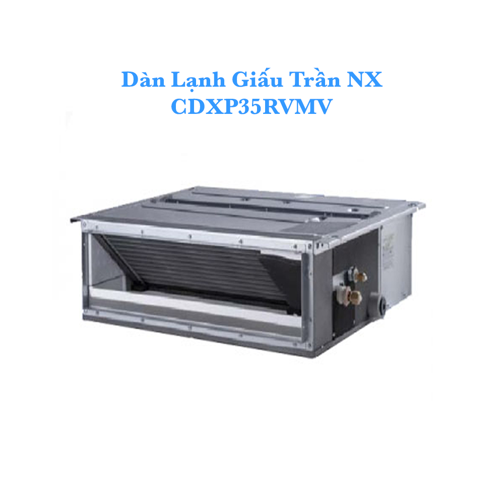 CDXP35RVMV nền trắng